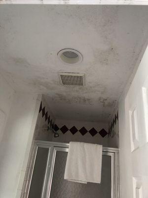 Moldy ceiling