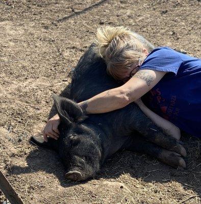 Houston Mini Pig Rescue and Farm Sanctuary