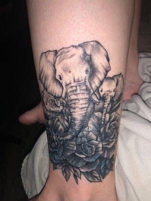 Momma elephant and her two babies representing my two boys.