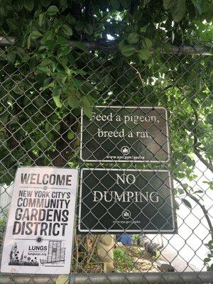 No dumping.