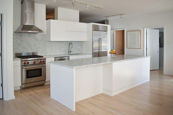 Chicago Contemporary Kitchen Full VIew