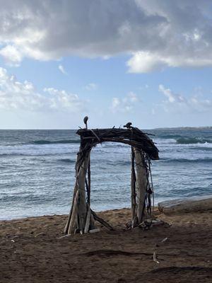 Driftwood arch