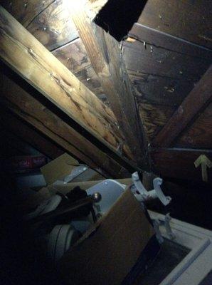 Roofing and Attic