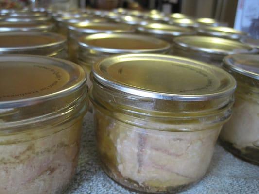 Home Canned Oregon Albacore Tuna