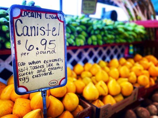 "Egg fruit" aka Canistel! Supposedly tastes like egg custard!