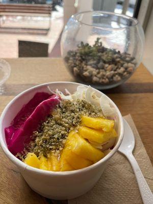 Beach Bum Pitaya Bowl