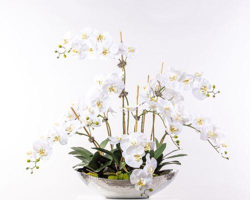 White Orchids