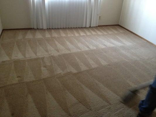 Carpet clean