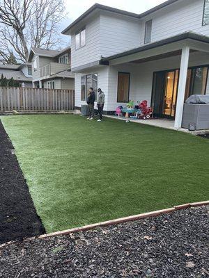 Turf lawn