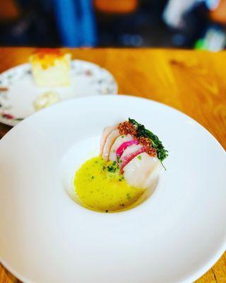 Scallop crudo