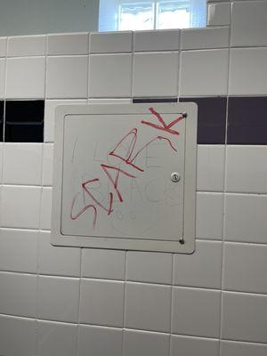 Bathroom vandalism