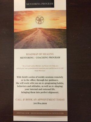 Life -Soul synergy Mentoring/coaching programs