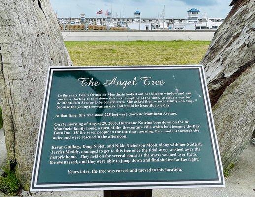 The Angel Tree story (located across the street from Bay Town Inn on North Beach Blvd)