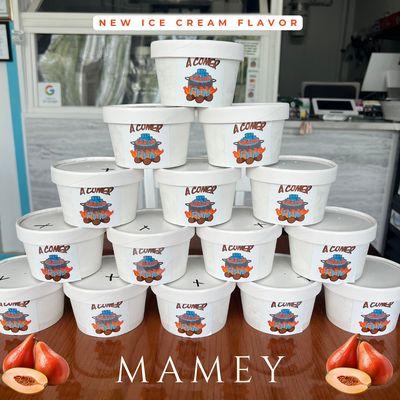 Mamey Ice cream