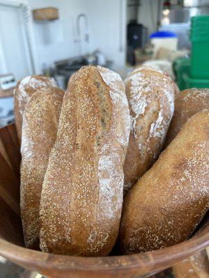 Whole Wheat Ciabatta