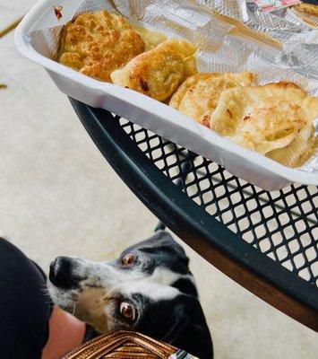 to go - potstickers