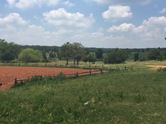 If you zoom in, you can see the gorgeous rolling hills that you can see from the main barn. So beautiful.