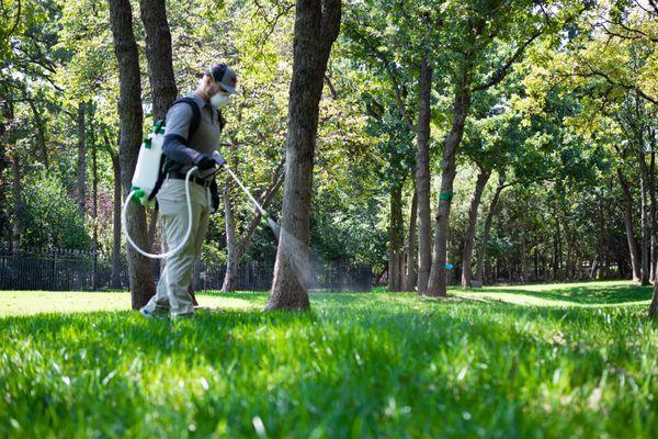 Lawn Treatments