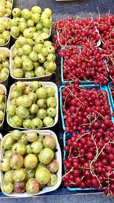 Gooseberries and currants. So good!