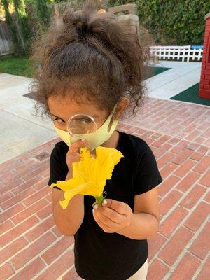 Our student is using her hand lens to examine a flower she picked.