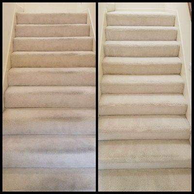 Carpeted stairs - cleaned & protected. Before  (left) After  (right).