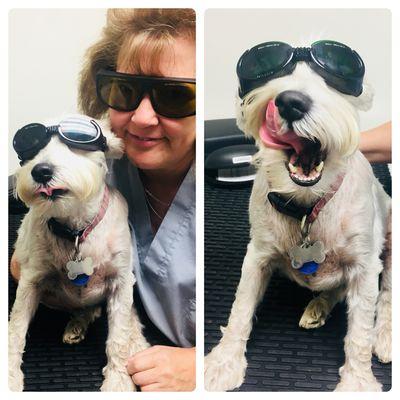 Miss Angie and our Laser Therapy patient for the day. She says thanks for making my hips feel better!