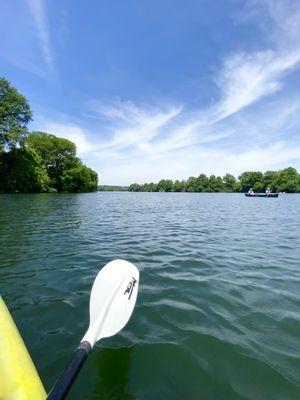 View while kayaking 5/7/2021