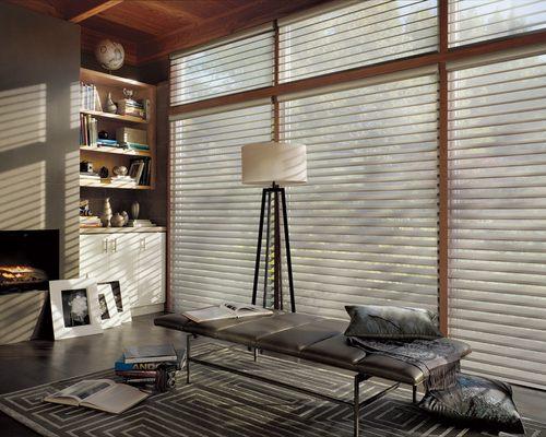 Hunter Douglas Silhouette® Window Shadings