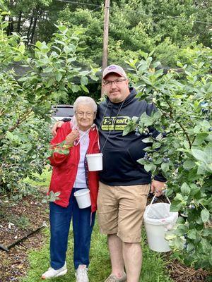 In the field picking, look at all those berries!