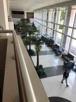 Main hall looking towards the Cancer Center