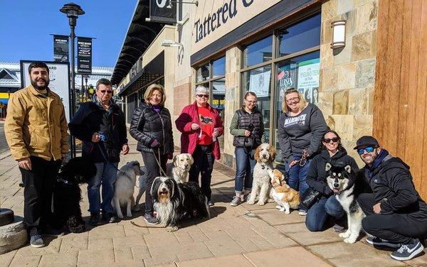 Canine Good Citizen training