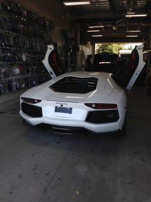 Lambo with Tint