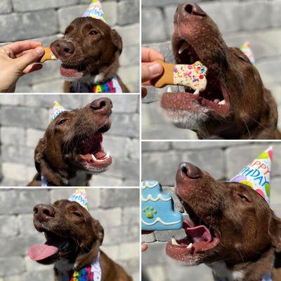 Birthday Party in Daycare!