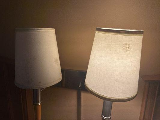 Moldy lamp shades