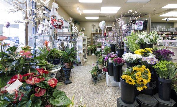 Four seasons Flowers; Rancho penasquitos Flowers; Rancho Bernardo Flowers; Poway flowers; San diego flowers and gifts. florist; wedding