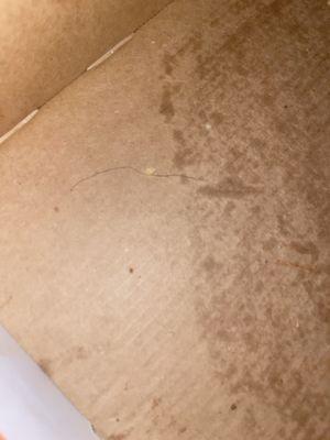 There was a pubic hair in my pizza