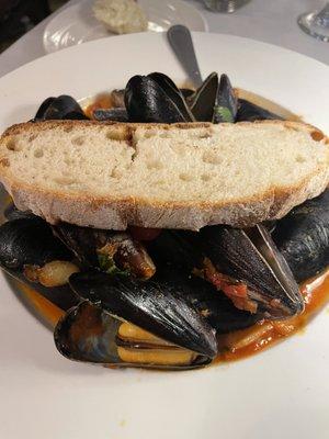 ZUPPA DI MUSSELS