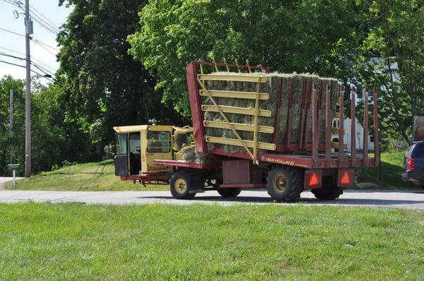 1st Cut Horse hay