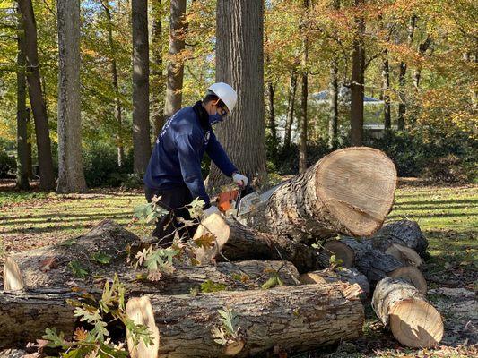 Bonilla Tree Service