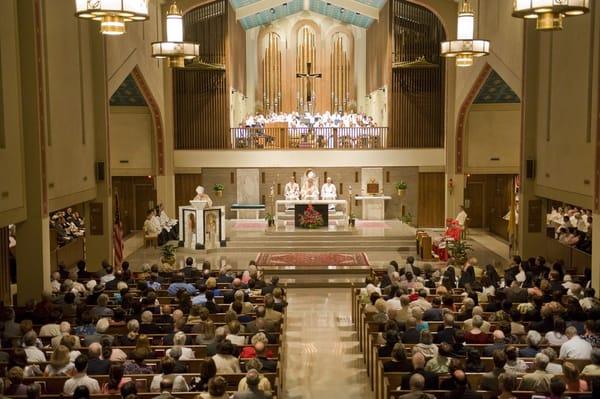 Parishioners from throughout the Diocese celebrate the Diocese's 35th anniversary in 2009 at the Cathedral of St. Thomas More.