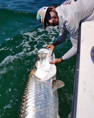 Big tarpon!