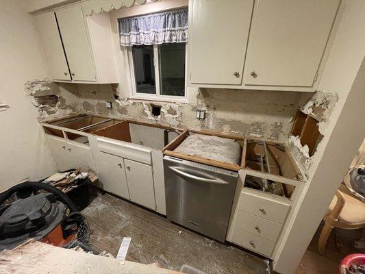 After the 55 year old tile backsplashes, countertops and wood were removed it looked like this.