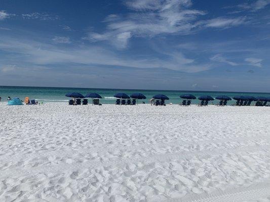 Beach chair and umbrella sets on Miramar Beach