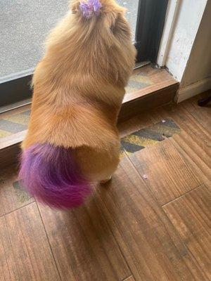 Purple and pink tail dye