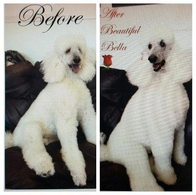 Bella's before and after