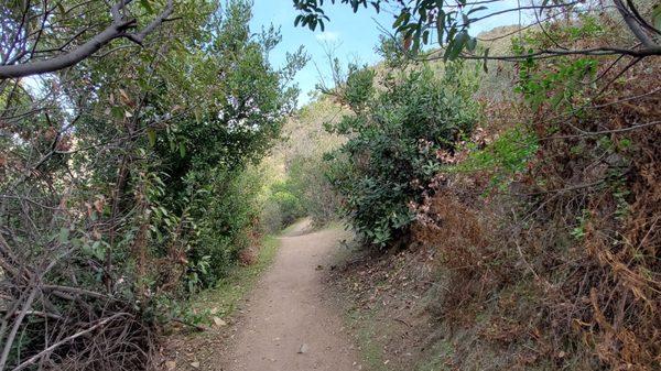 Single-track along the trail