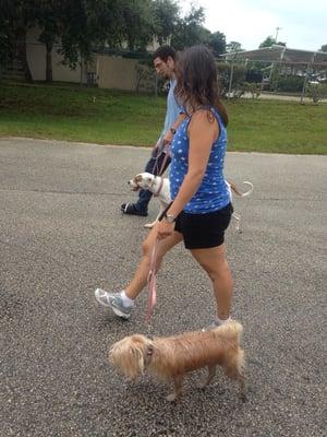 Learn to walk your pet on a loose leash