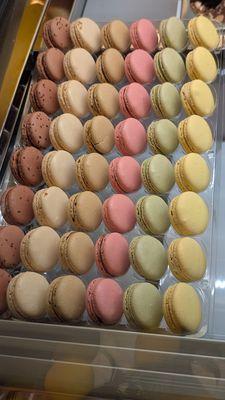 Fresh and delicious macarons