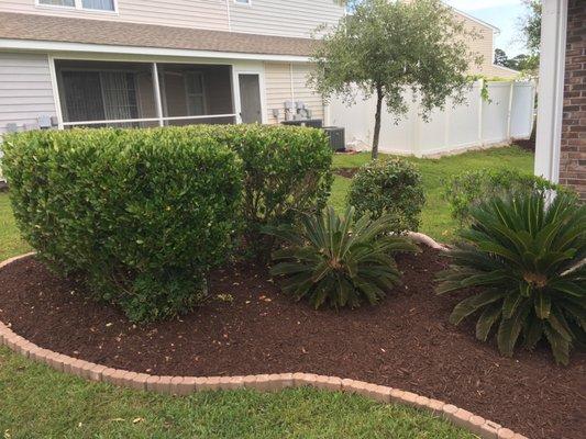 Edging, trimming, mulching