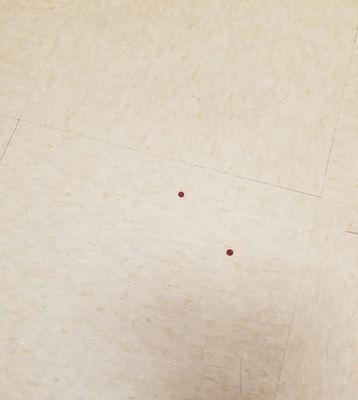 Unsanitary exam room. Blood and ??? from some other patient. Wonder how many people were in this unclean room?